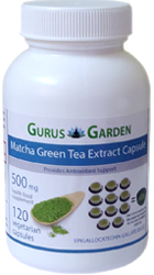 Matcha Green Tea Extract Capsule