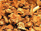 Hemidesmus Indicus