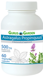 Astragalus Propinquus