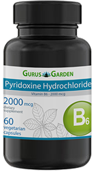 Pyridoxine Hydrochloride (Vitamin B6 - 2000 mcg)