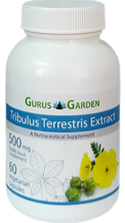 Tribulus Terrestris Extract