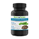 moringa oleifera seeds extract