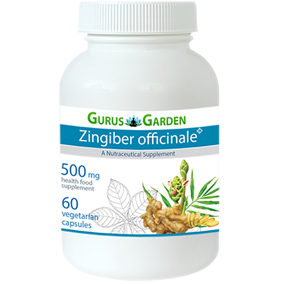 zingiber officinale